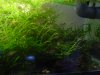 DSC00183.JPG