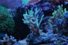 DSC_0103.JPG