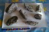 Granitsteine.jpg