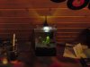 DSC00107.JPG