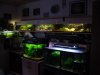 DSC00315.JPG