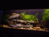 DSC00309.JPG