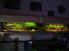 DSC00316.JPG