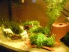 DSC01826.JPG