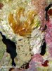 Nano MW 809_crop.jpg