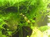 DSC00043_400_300.jpg