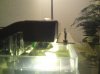 DSC04916.JPG