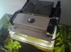 DSC04940.JPG