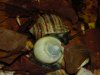 DSC00345.JPG
