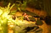 DSC_0016.JPG