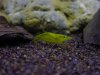 DSC00361.JPG