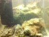 DSC00154.JPG