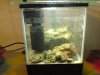 DSC00157.JPG