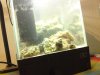DSC00160.JPG