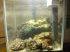 DSC00162.JPG