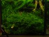 DSC00372.JPG