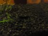 DSC00225.JPG