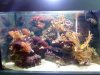 resized_DSC00363.jpg