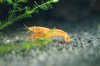 DSC01506.JPG