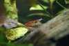 DSC01562.JPG