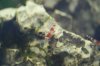 DSC01575.JPG
