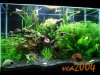 70gal.jpg