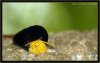 IMG_2361a.jpg