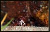 IMG_2336b.jpg