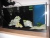 IMG_0148.JPG