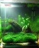 20 L BP 09.jpg