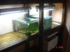 Aquarienregal 015.jpg