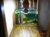 Aquarienregal 016.jpg