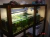 Aquarienregal 019.jpg