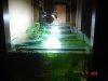 Aquarienregal 020.jpg