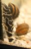 20091109_9999_4L316.jpg