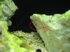 IMG_0154test.jpg