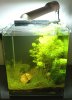 nano1109.jpg