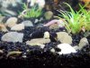 100_4312.JPG