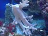 DSC00010a.jpg