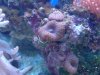 DSC00011a.jpg