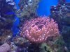 DSC00012a.jpg