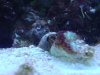 DSC00015a.jpg