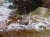 DSC00017a.jpg