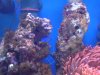 DSC00021a.jpg