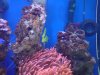 DSC00022a.jpg