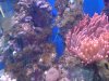 DSC00026a.jpg