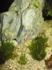 IMG_0135.JPG