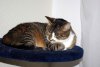 Bild 361.jpg
