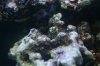 20091130_3.JPG