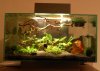 Fluval Edge_mit Pflanzen.jpg